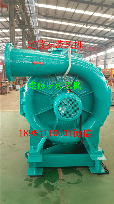 -66f68e2f836c37bf.jpg