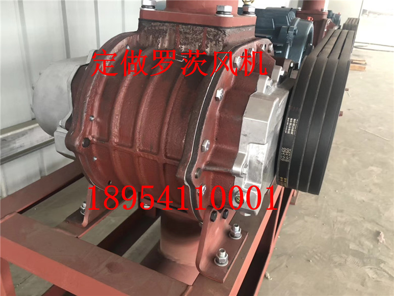mmexport1609154176673_副本.jpg